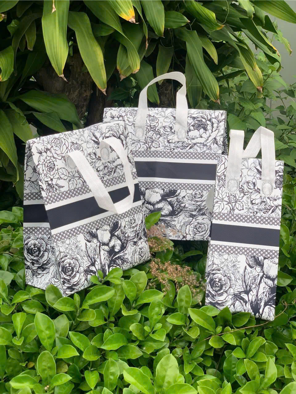 Túi giấy - Công Ty TNHH Quốc Tế Nice